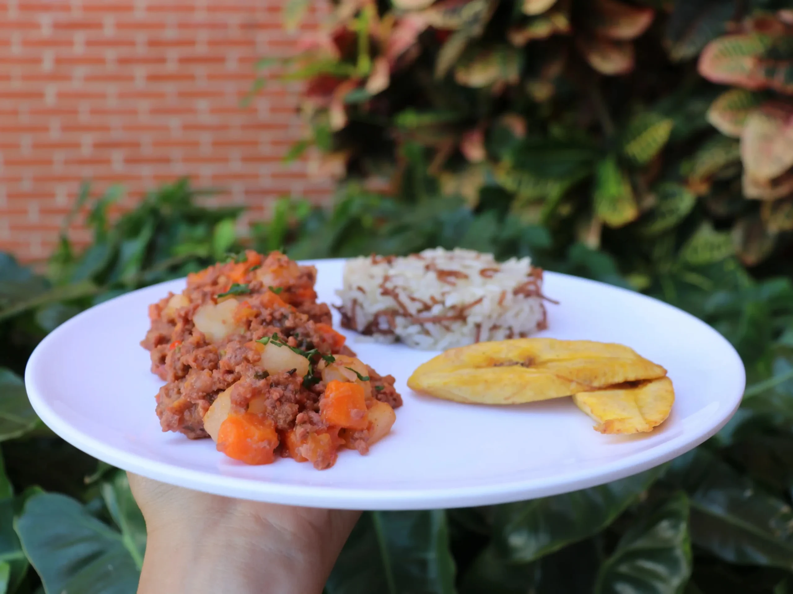 Alimentación